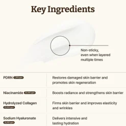 Best Advanced PDRN Rejuvenating Cream 60 ml Feuchtigkeitscremes|Hauptzutat
