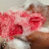 Best African Net Sponge Sapo Pastel Pink Everything Shower|Hautprobleme