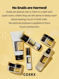 Outlet All About Advanced Snail Kit Hauptzutat|Korean Skincare Routine