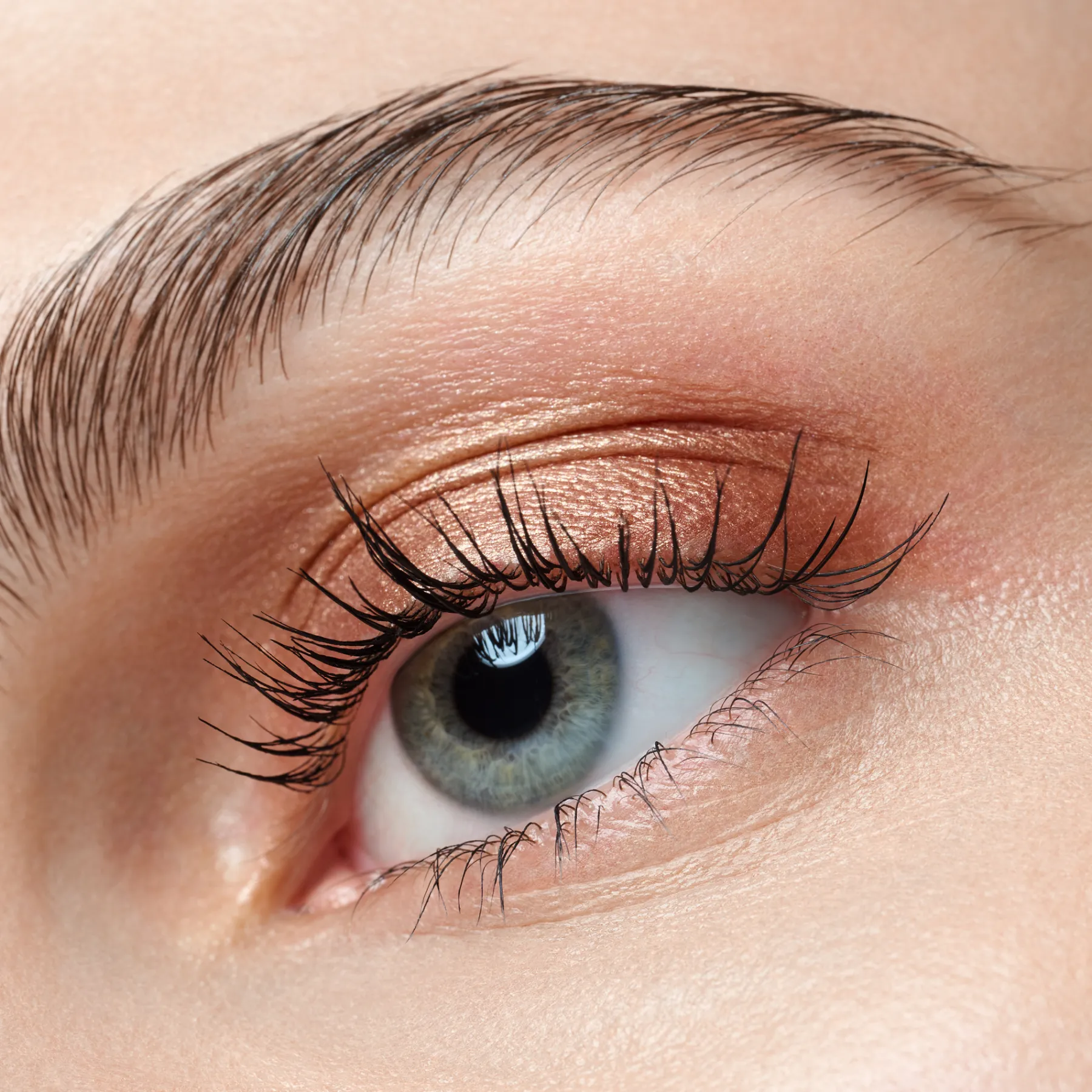 Discount Art Couleurs Eyeshadow 440 Bronze Bliss Lidschatten|Vegane Lidschatten