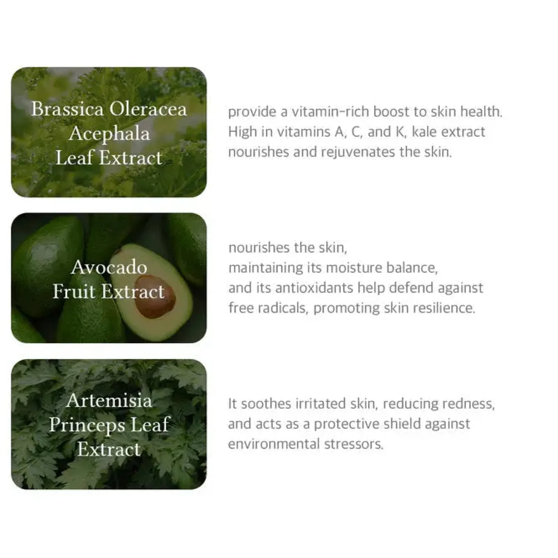 Sale 147 Barrier Cream Feuchtigkeitscremes|Hauptzutat