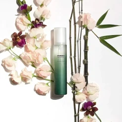 Discount Black Bamboo Mist 80 ml. Face Mists|Vegan Pflege