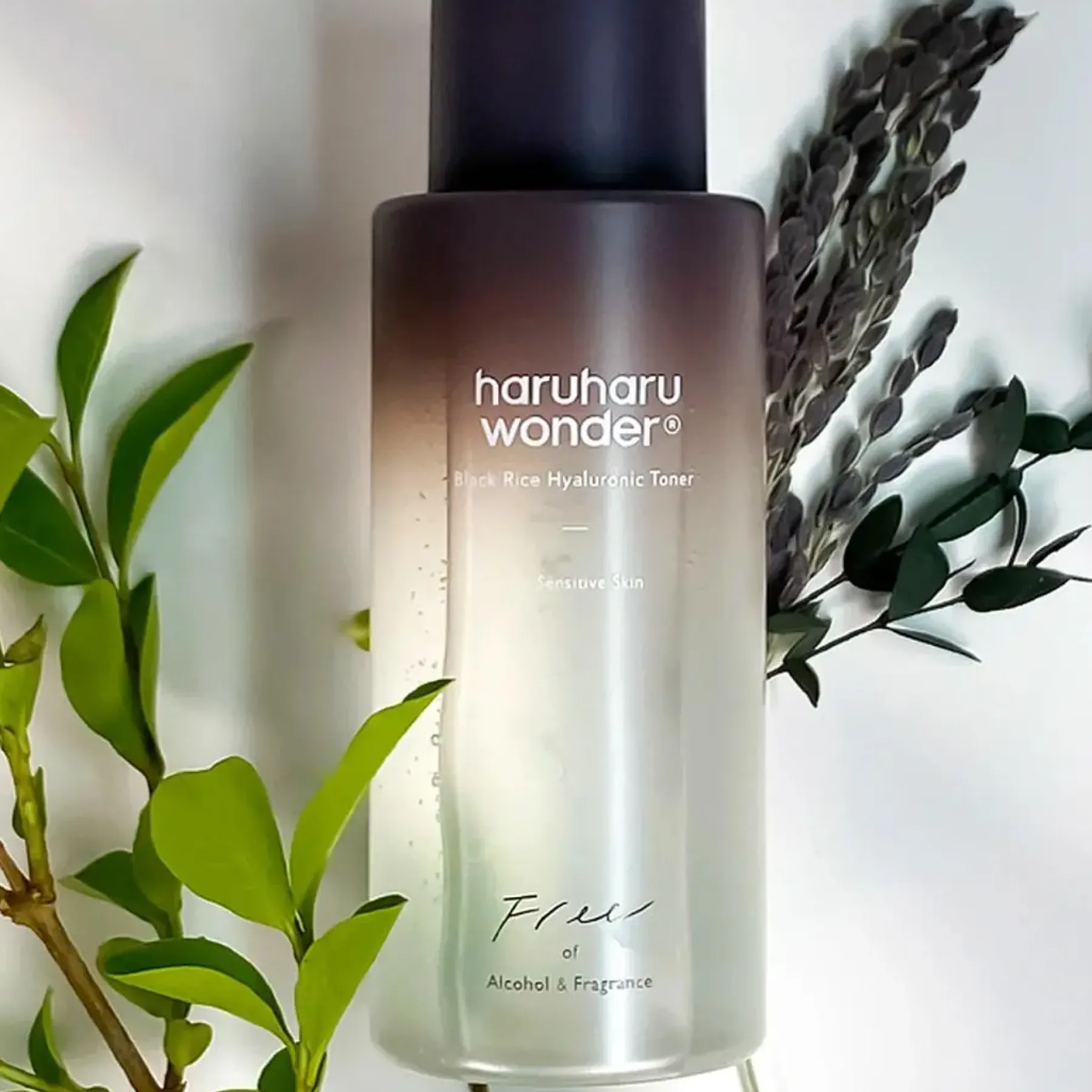 Outlet Black Rice Hyaluronic Toner Fragrance Free Hauptzutat|Vegan Pflege