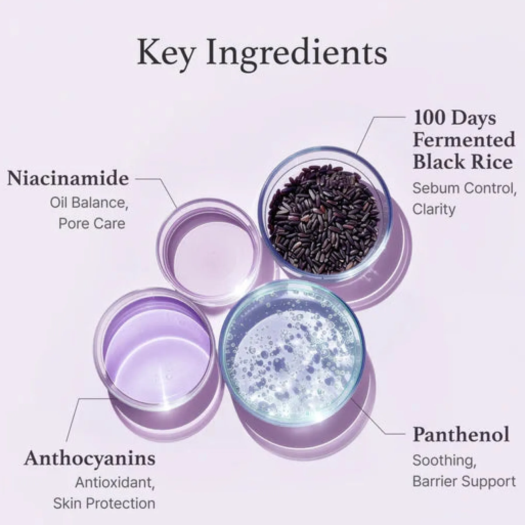 New Black Rice Toner 30 ml. Hauptzutat|Calming Toners