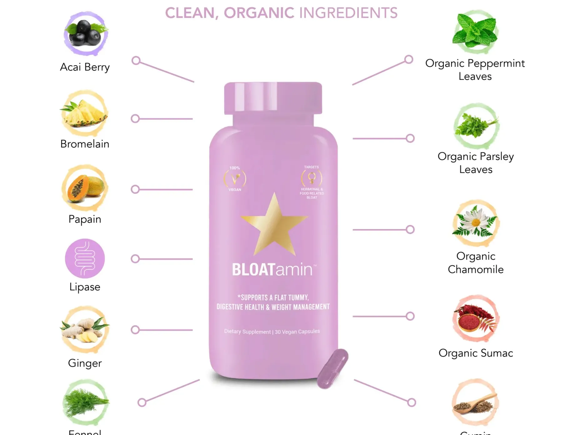 Online Bloatamin Capsules Vegan Pflege|Clean Beauty Skincare