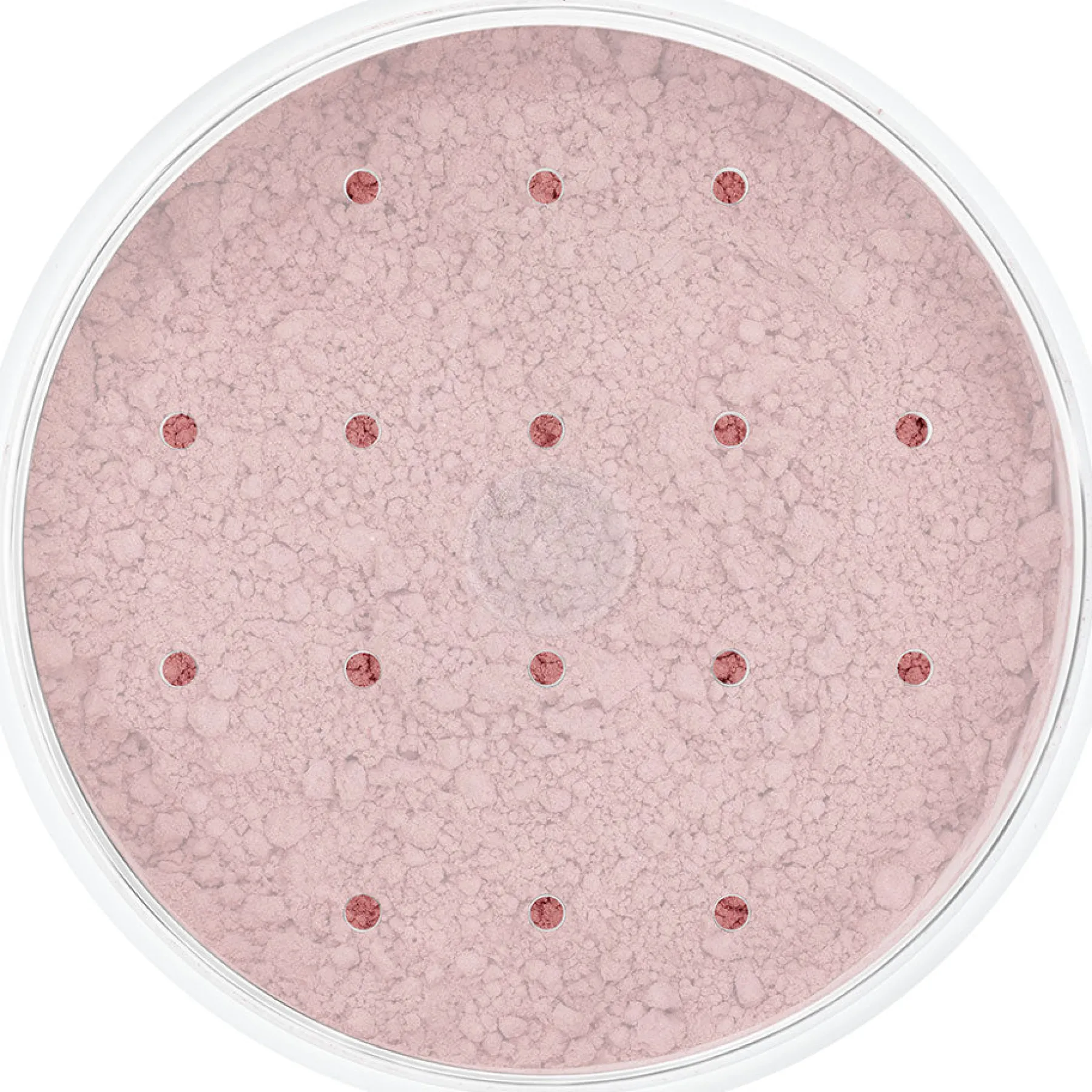 Clearance Blood Powder Dark 10 Gr. Spezialeffekte Make-Up