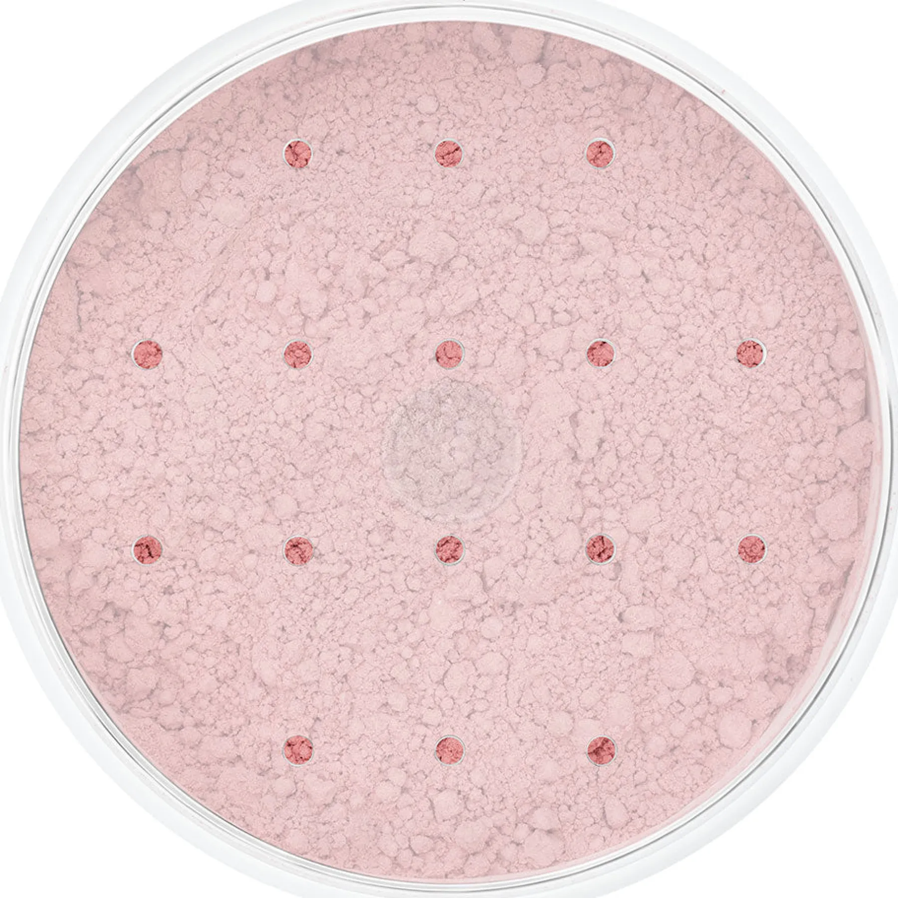 Clearance Blood Powder Light 10 Gr. Spezialeffekte Make-Up