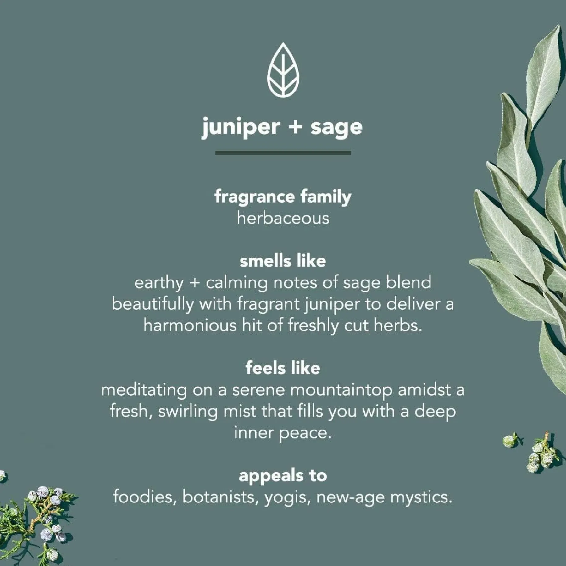 Best Body Wash Juniper + Sage Duschgel