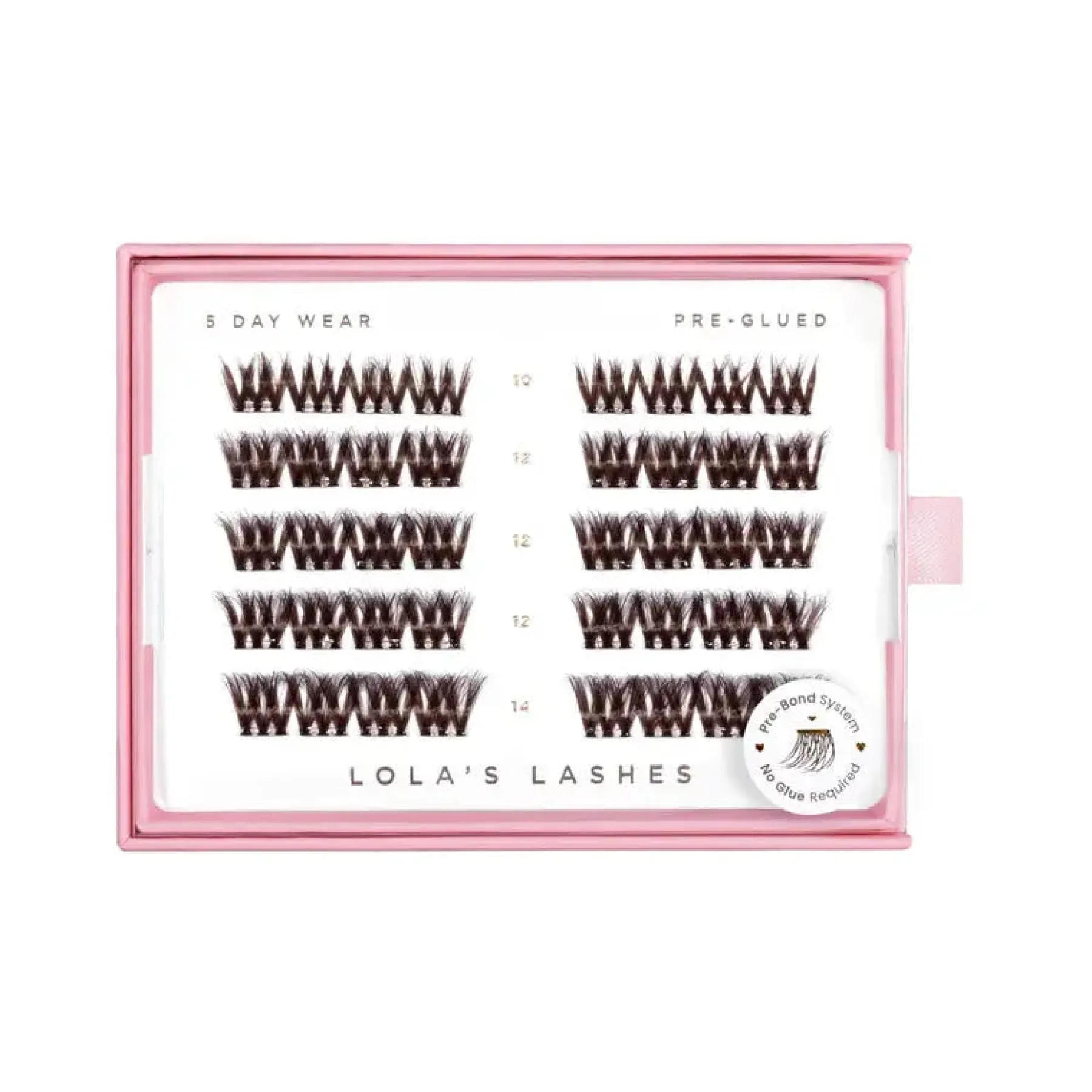 Best Bold Definition Dark Brown Pre-Glued Lashes Künstliche Wimpern
