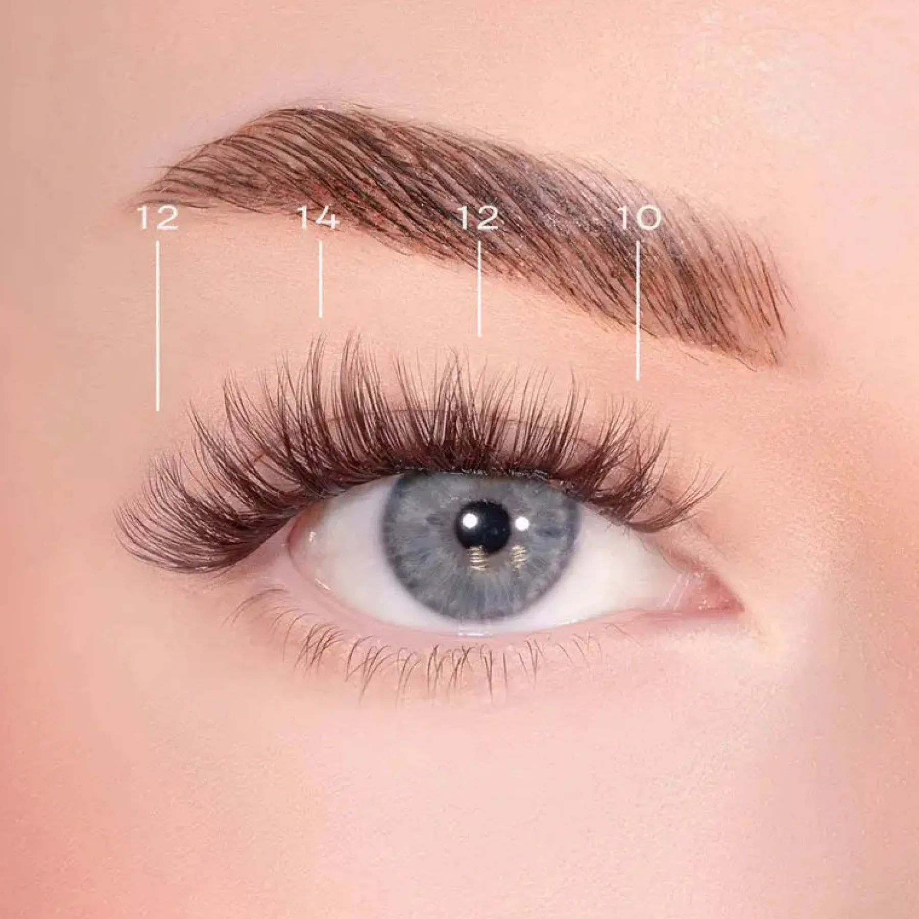Best Bold Definition Dark Brown Pre-Glued Lashes Künstliche Wimpern