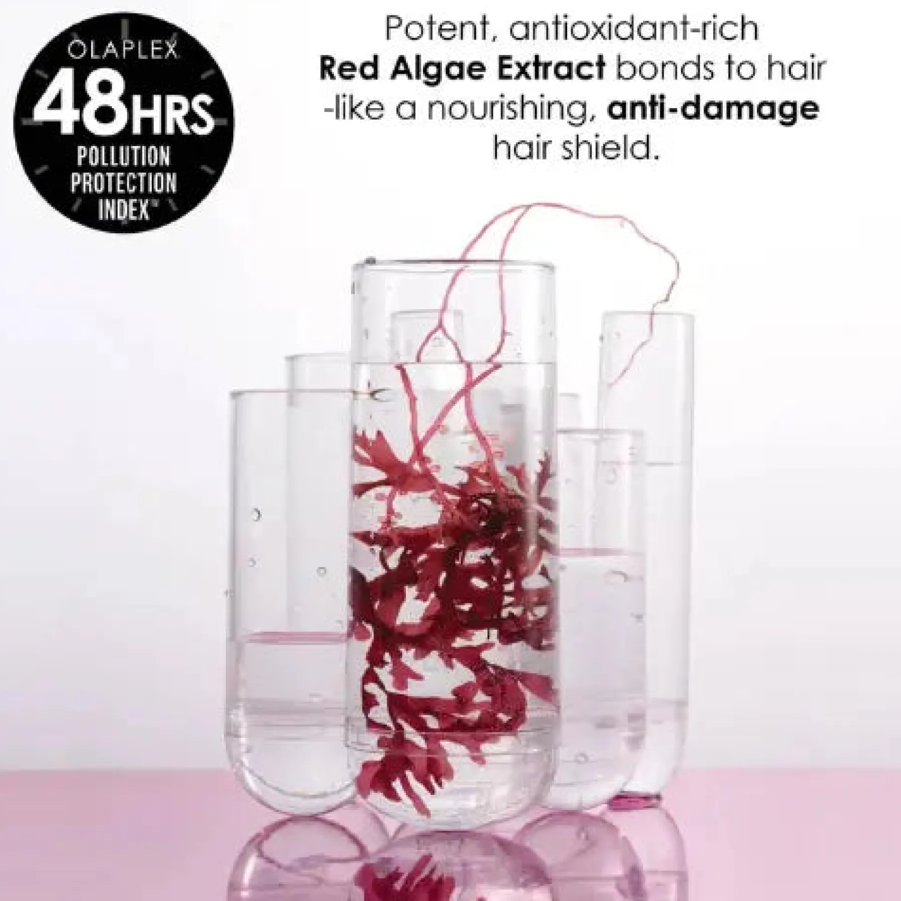 Discount Bond Protector Nourishing Hair Serum No. 9 Haarprobleem|Vegane Haarpflege