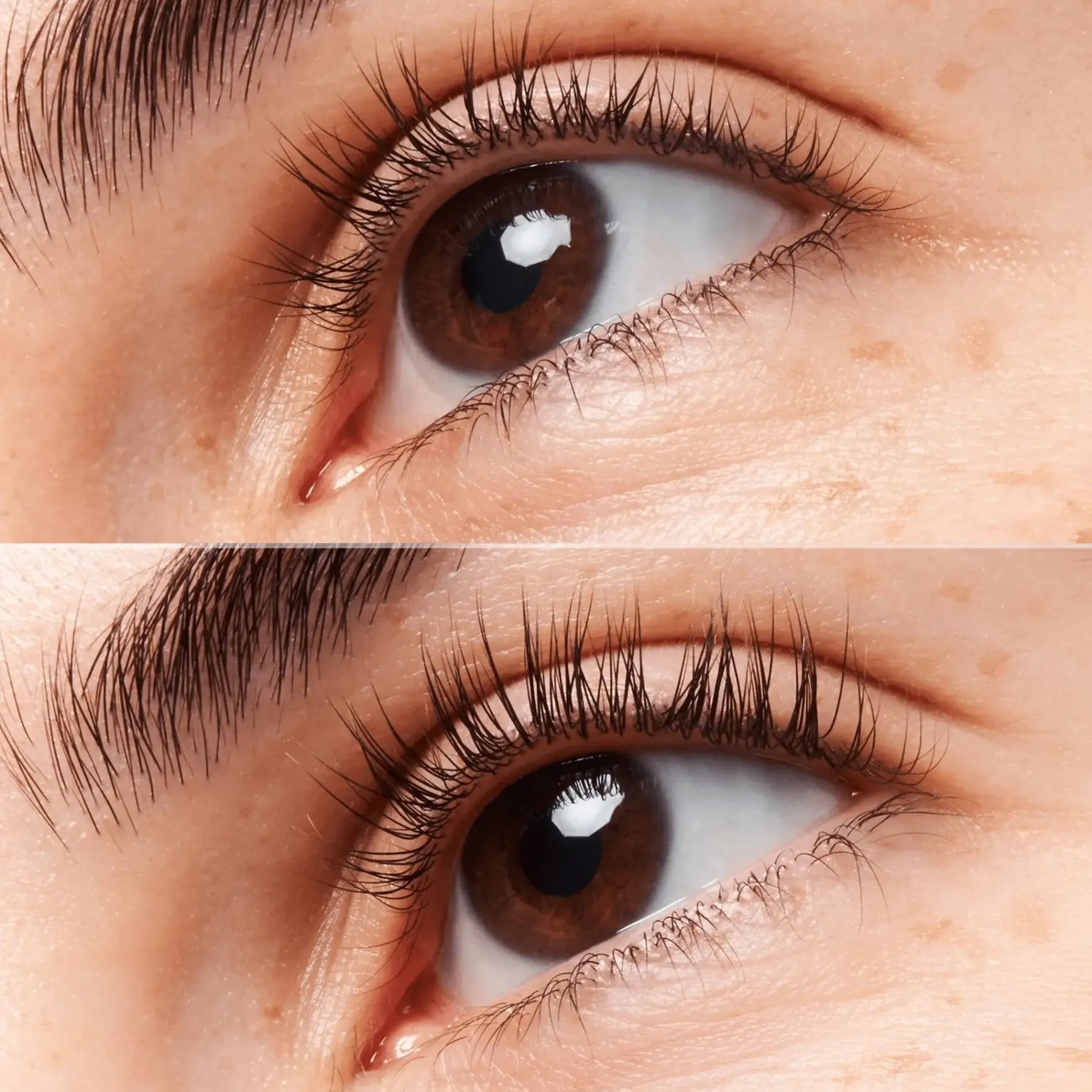 Hot Caffeine Kick Lash & Brow Serum Wimpernserum