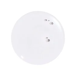 Hot Clear Canvas 5% Niacinamide & 2% Salicylic Acid Clarifying Serum Problemlösende Seren|Hauptzutat