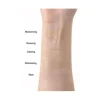 Sale Clearing Petit BB Cream SPF30 Foundation|Korean Makeup