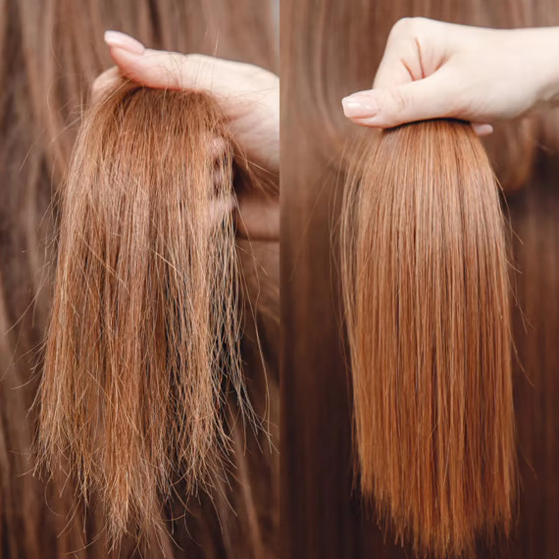 Outlet Coconut Bomb Hair Oil 11 Schritte Haarpflege Routine|Haar Olie & Serum