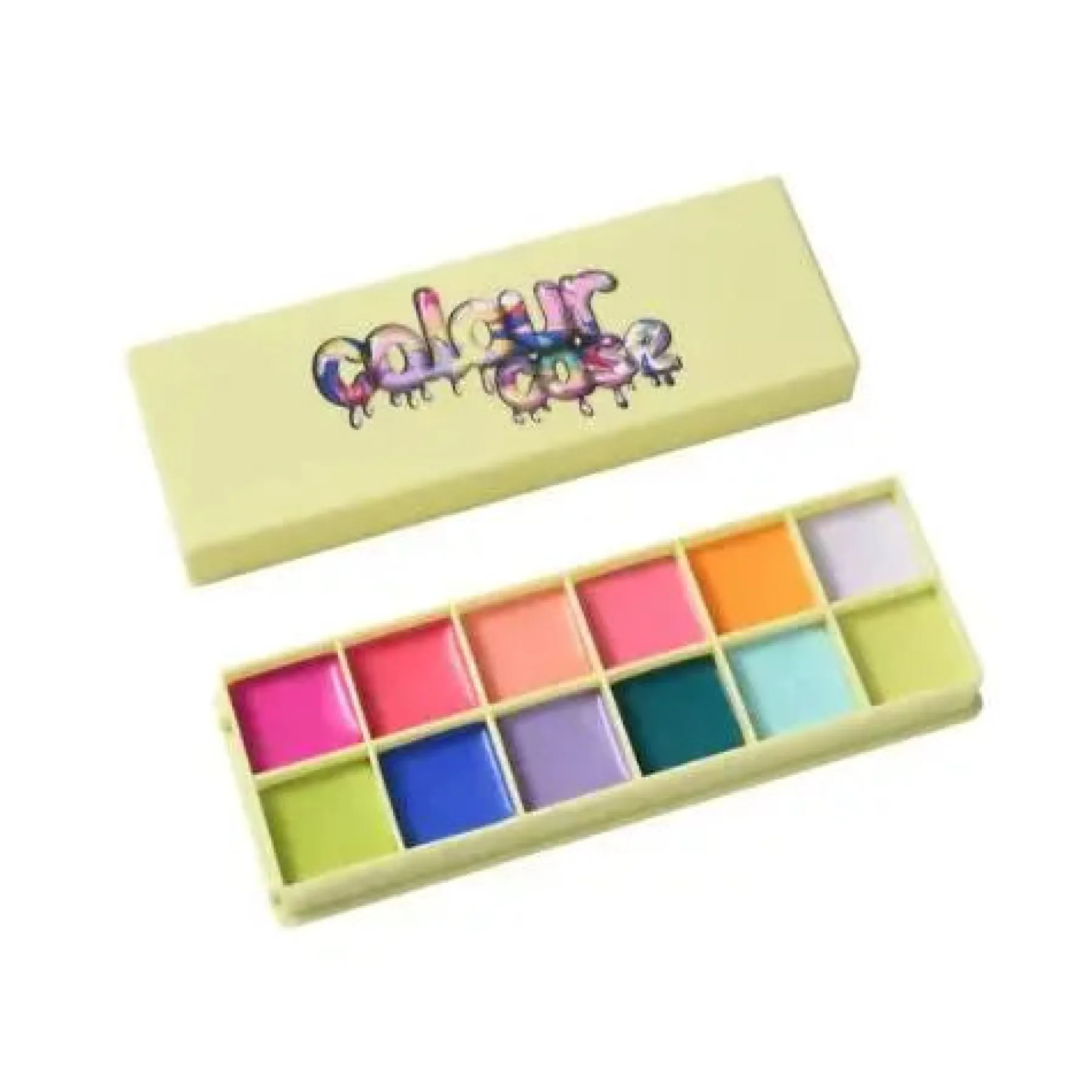Hot Color Case Cosmetic Paint Palette & Brush Set The Electrics Lidschatten