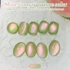 Online Colored Cat Magnetic Gel Fruit Basket MY278 Guava Veganer Nagellack|Cat Eye Gellack