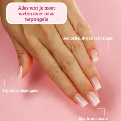 Best Complete Press On French Nails Set Ombre Soft Pink Nagelsätze