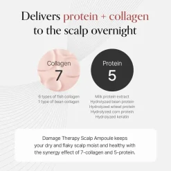 Damage Therapy Scalp Scaling Ampoule Hair Growth|Korean Haarpflege