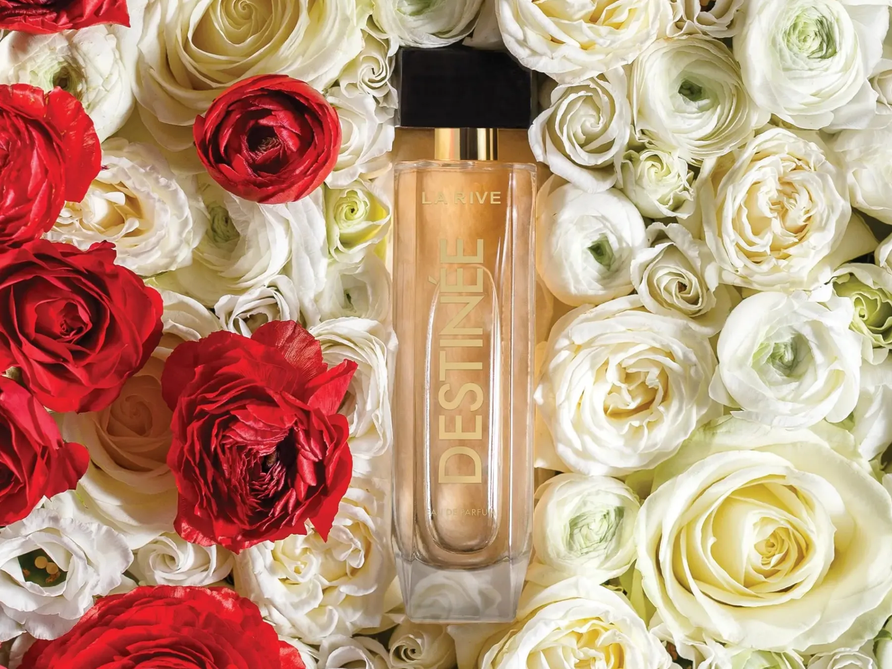 Destinée Parfum Dupes