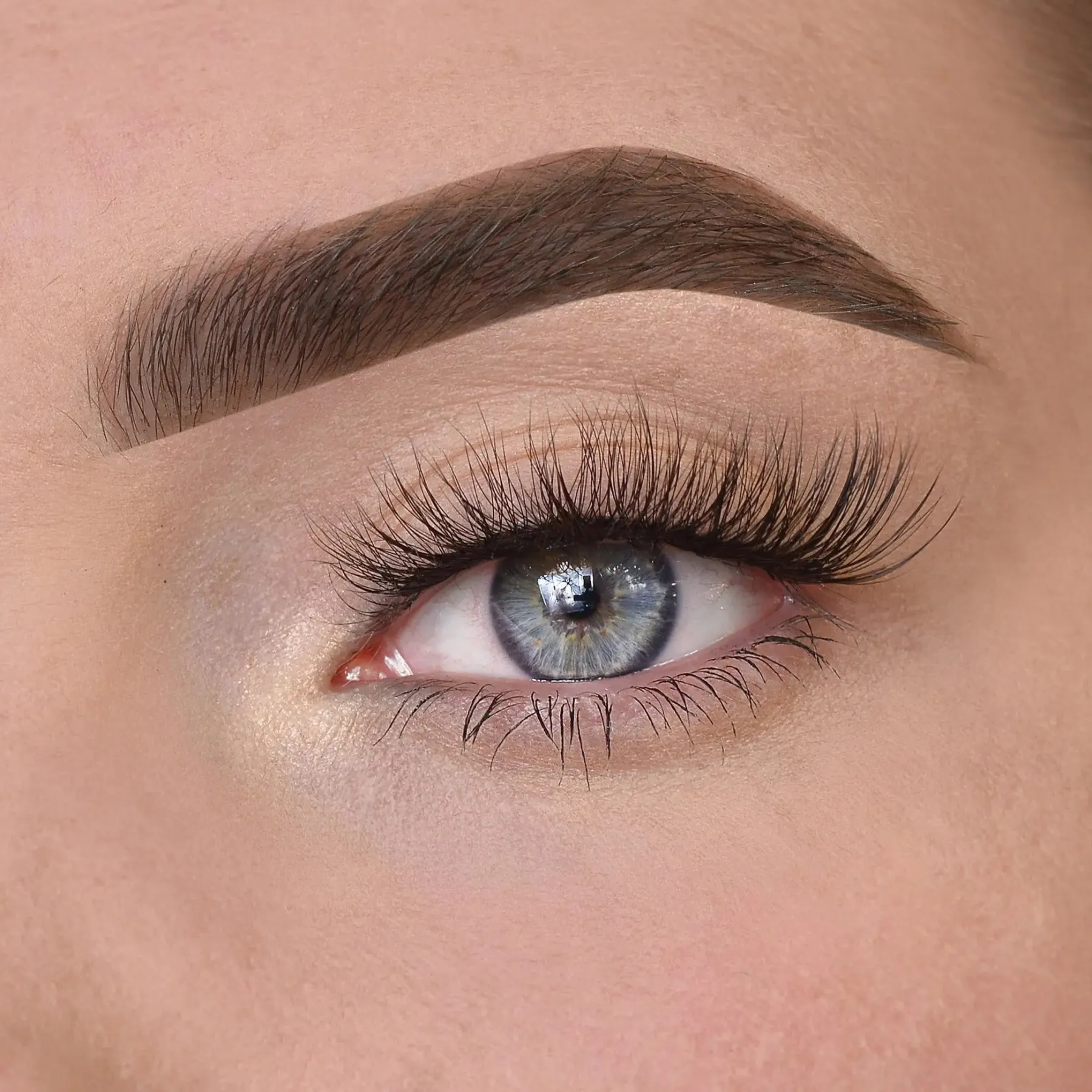 New Ella Lashes Künstliche Wimpern|Clean Beauty