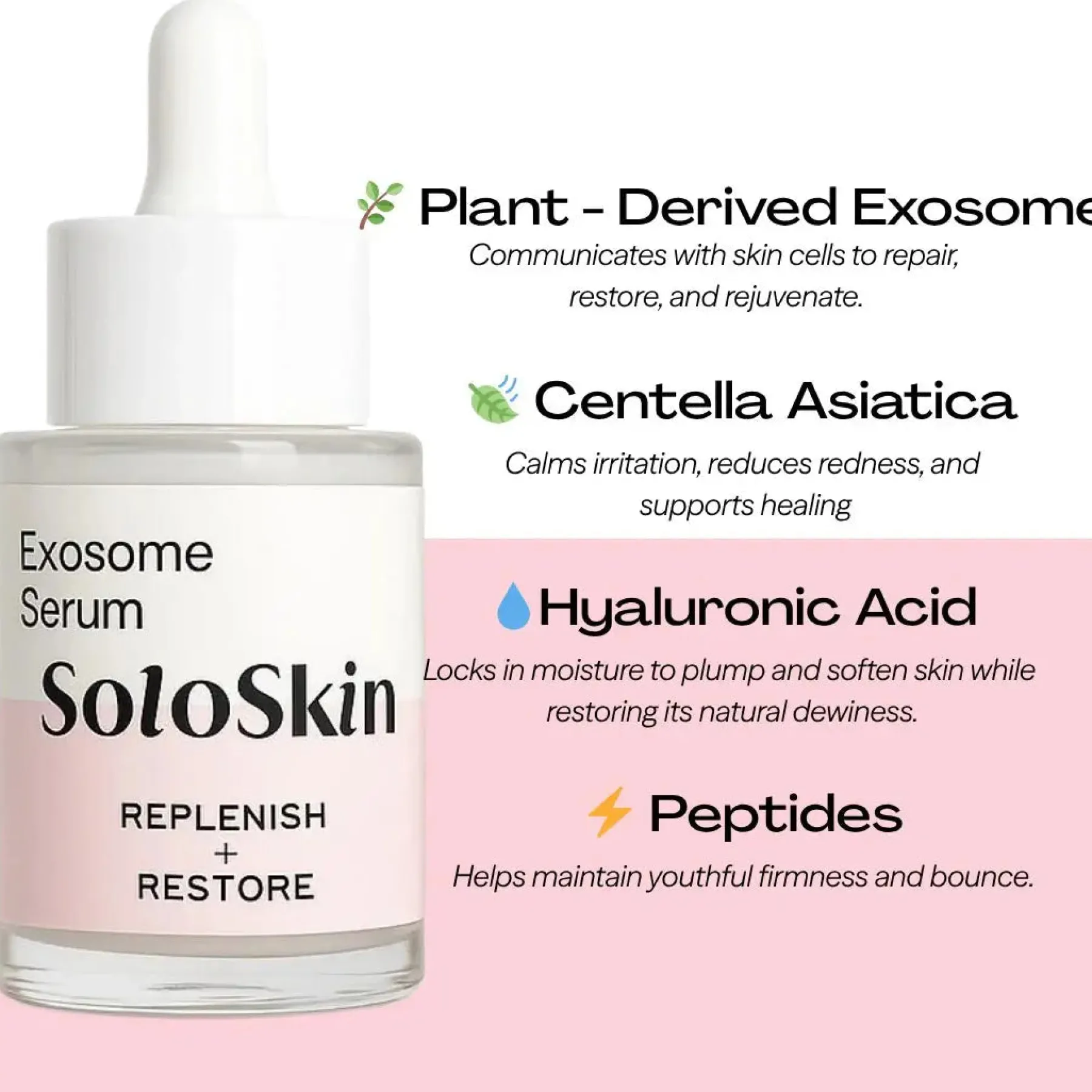 Best Exosome Serum Problemlösende Seren|Hauptzutat