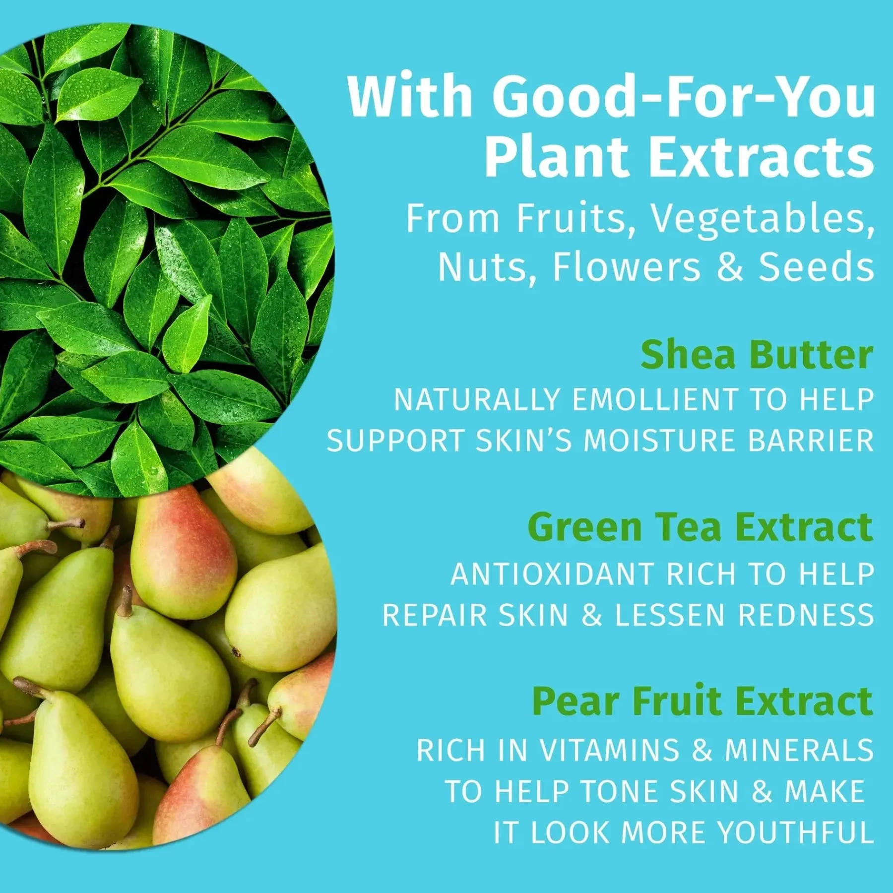 Discount Exotic Green Tea & Asian Pear Herbal Body Moisturizer Everything Shower|Hautprobleme