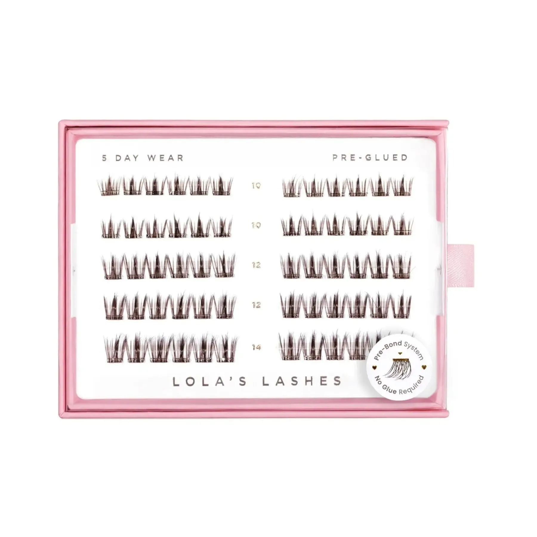 Clearance Feathered Dark Brown Pre-Glued Lashes Künstliche Wimpern