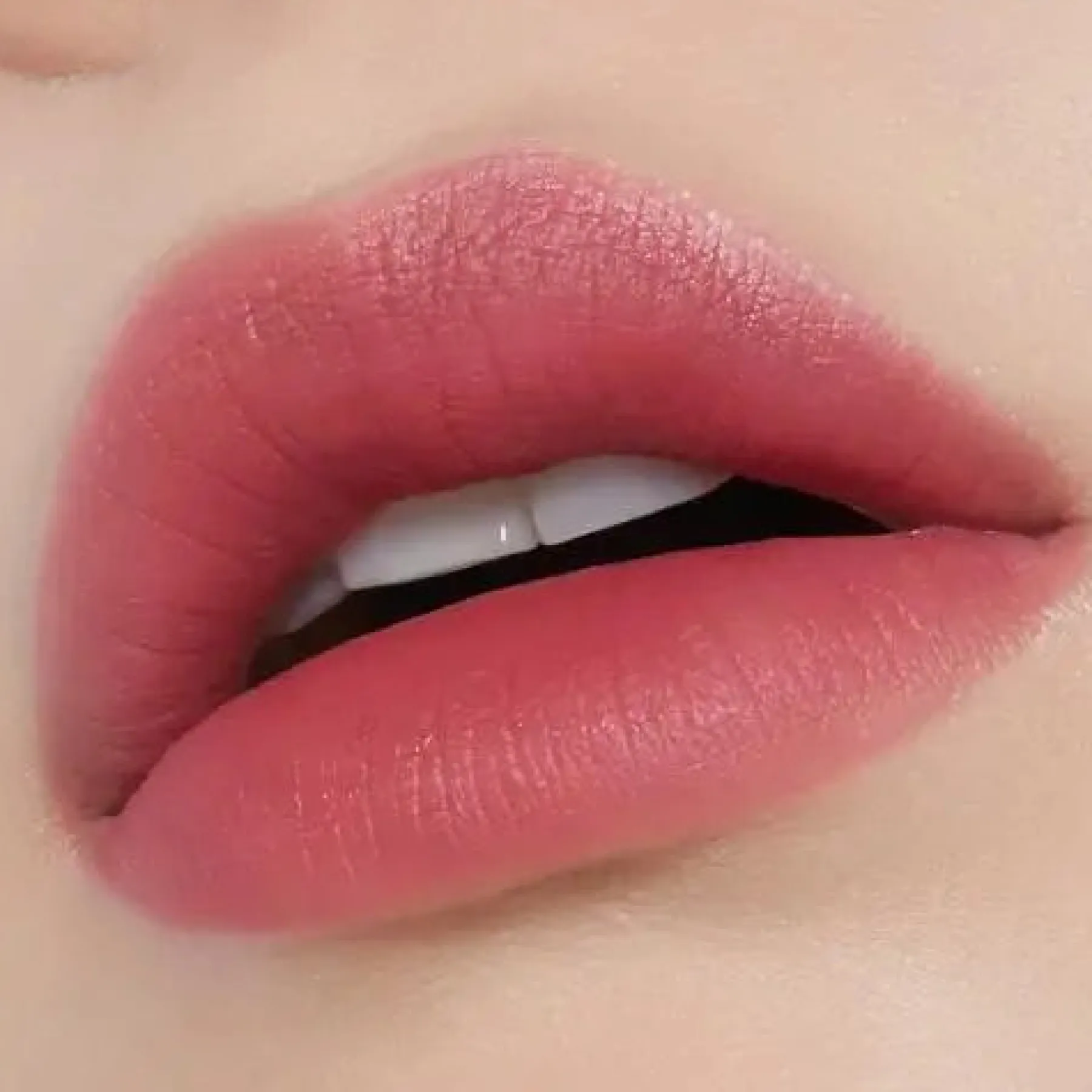 Discount Fixing Tint 11 Rose Blending Veganer Lippenstifte|Lip Stain