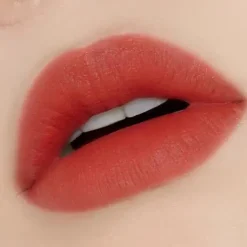 Outlet Fixing Tint 02 Vintage Red Veganer Lippenstifte|Lip Stain