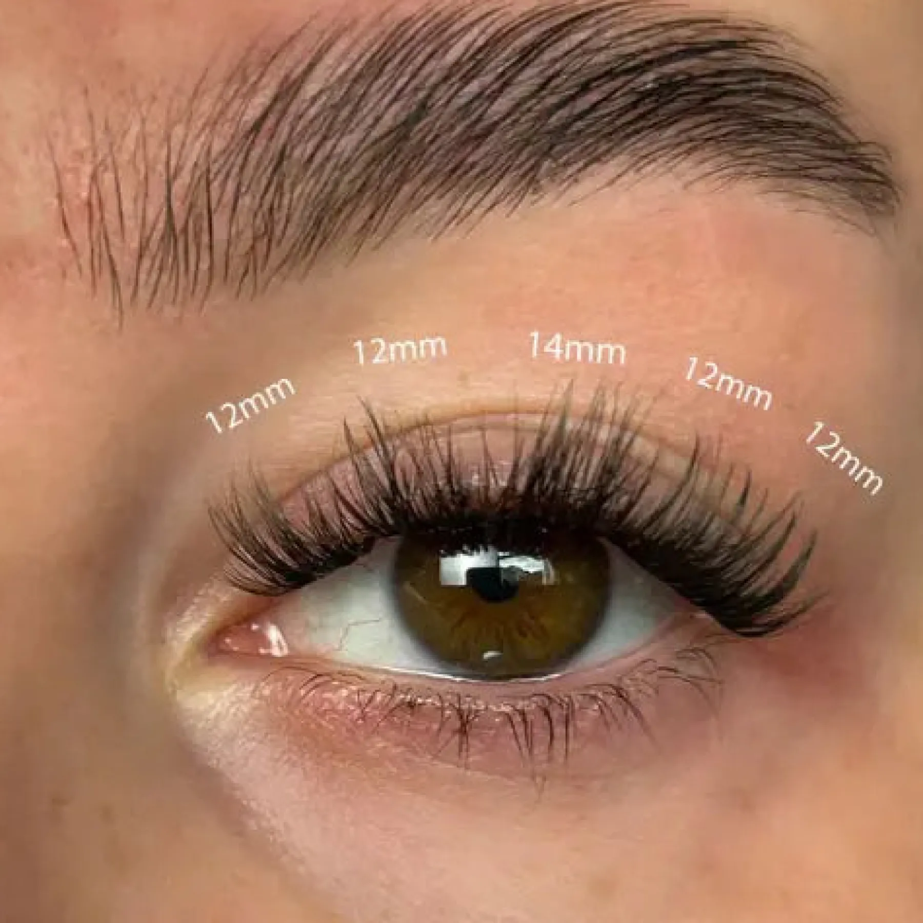 Discount Fluffy Russian DIY Lash Extension Set Makeup Sets|Künstliche Wimpern