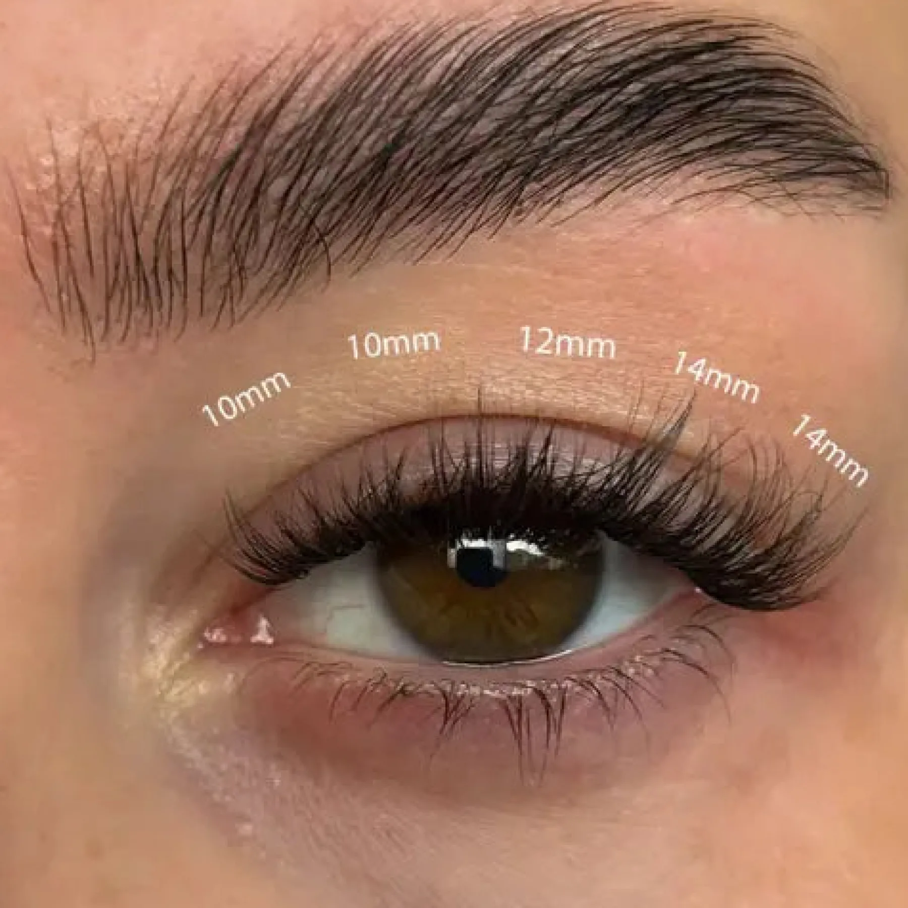 Discount Fluffy Russian DIY Lash Extension Set Makeup Sets|Künstliche Wimpern