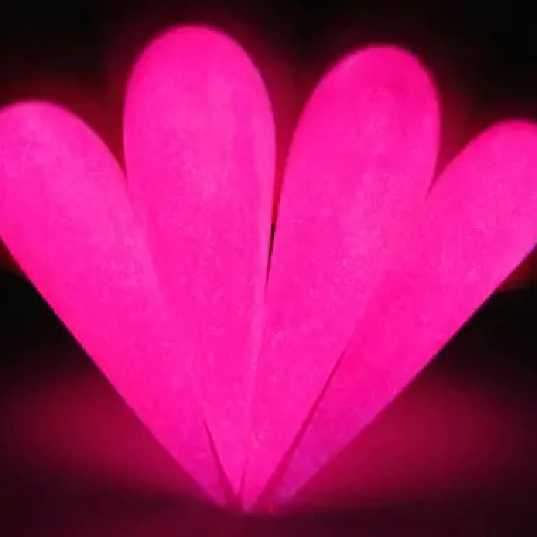 Glow Dip Powder Pinkaholic 4. Dip Powder