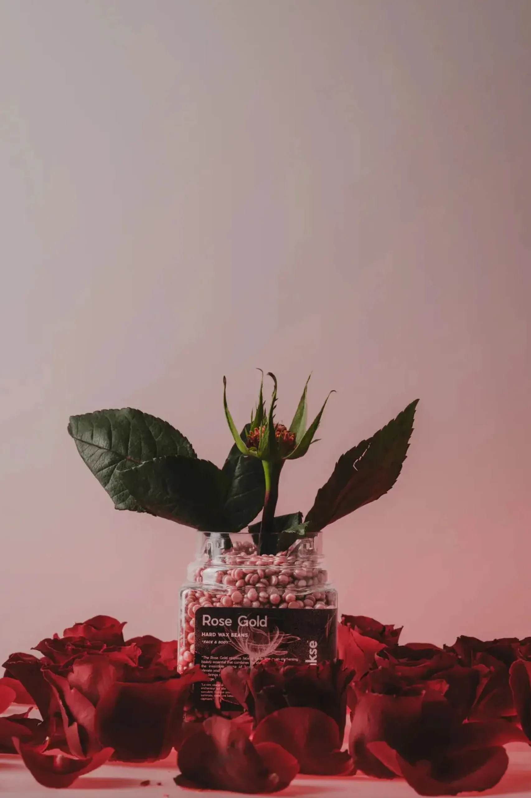 Outlet Hard Wax Beans Rose Gold Small Rasieren & Enthaarung|Hautprobleme