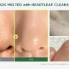 Hot Heartleaf Pore Control Cleansing Oil 20 ml. Hauptzutat|Reinigungsmittel