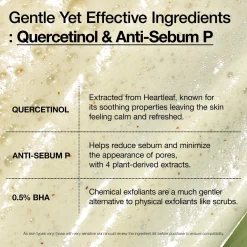 Best Heartleaf Quercetinol Pore Deep Cleansing Foam Hauptzutat|Reinigungsmittel