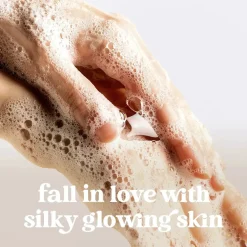 Best Holiday Treats Liquid Hand Wash Apple Cider Caramel Everything Shower|Handpflege