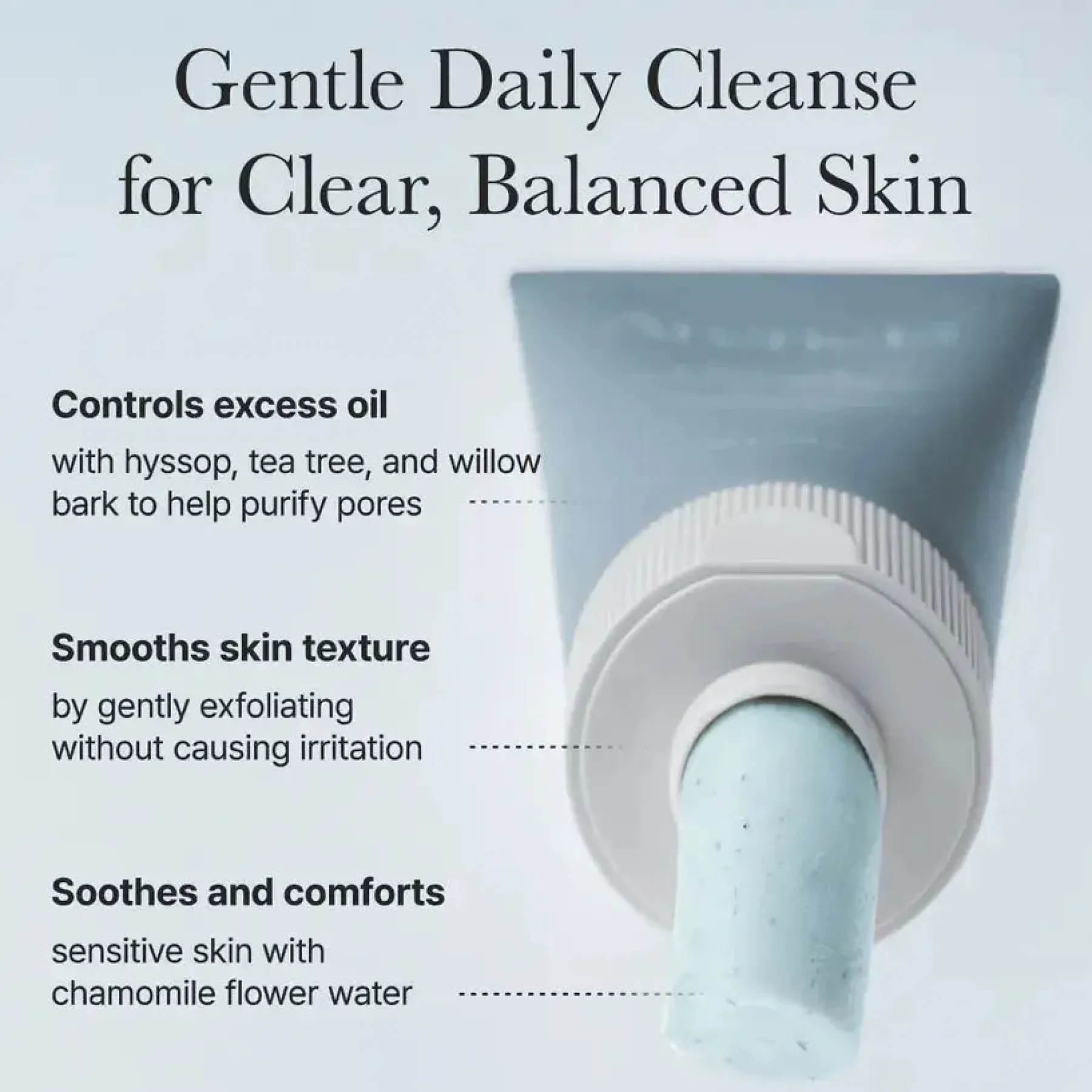 Best Hyssop Sebum Control Rice Cake Cleanser Hauptzutat|Reinigungsmittel