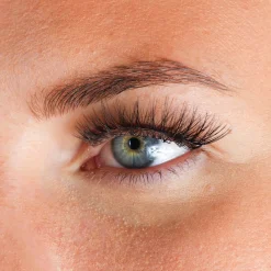 Invisible Bands Lashes Joyce Künstliche Wimpern