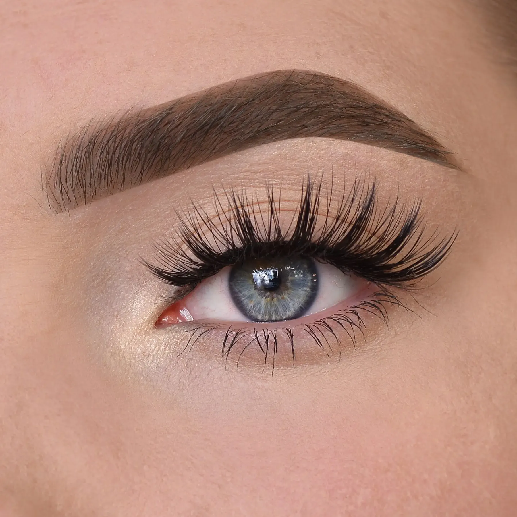 New Ivy Lashes Künstliche Wimpern|Clean Beauty