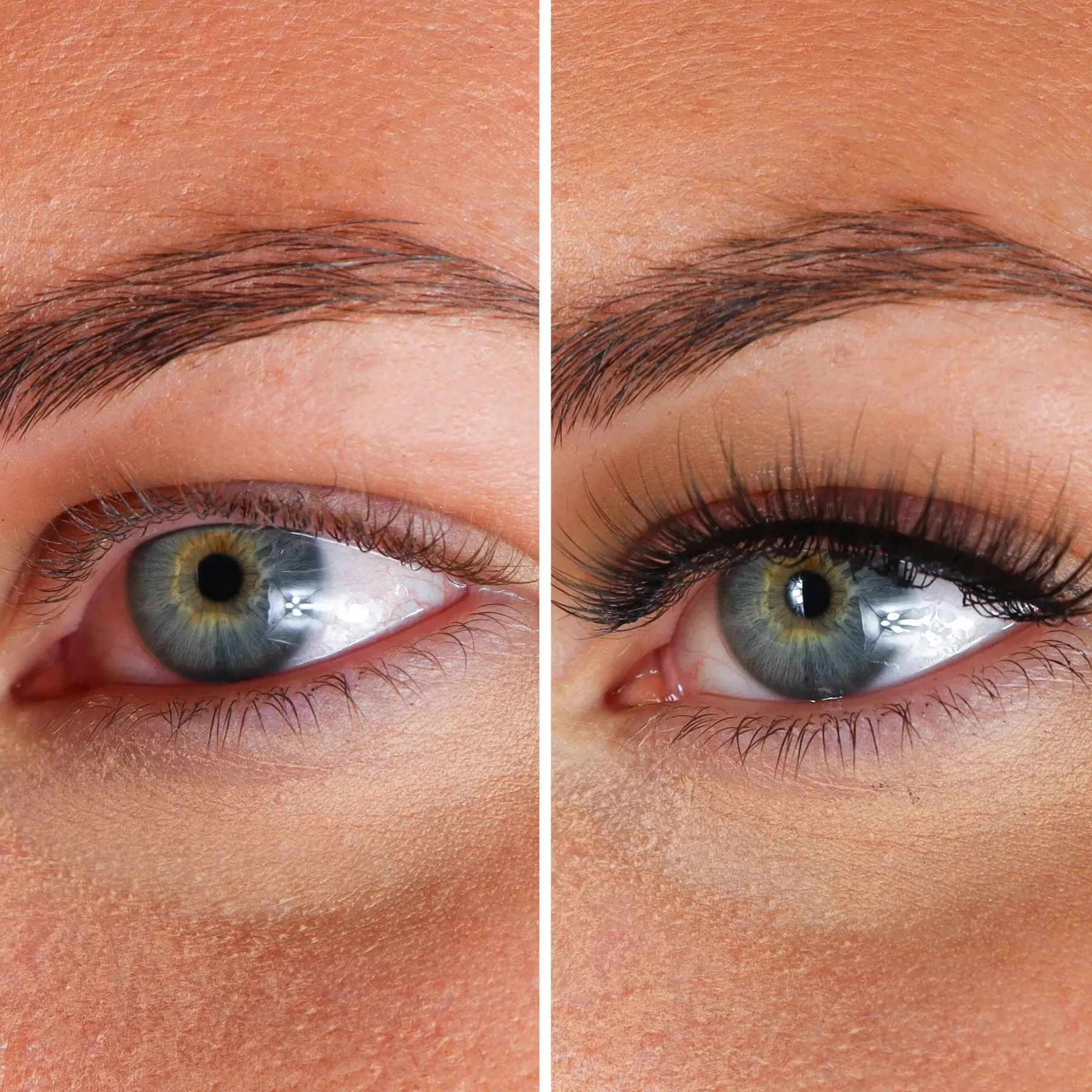 Clearance Lashes Amber Künstliche Wimpern