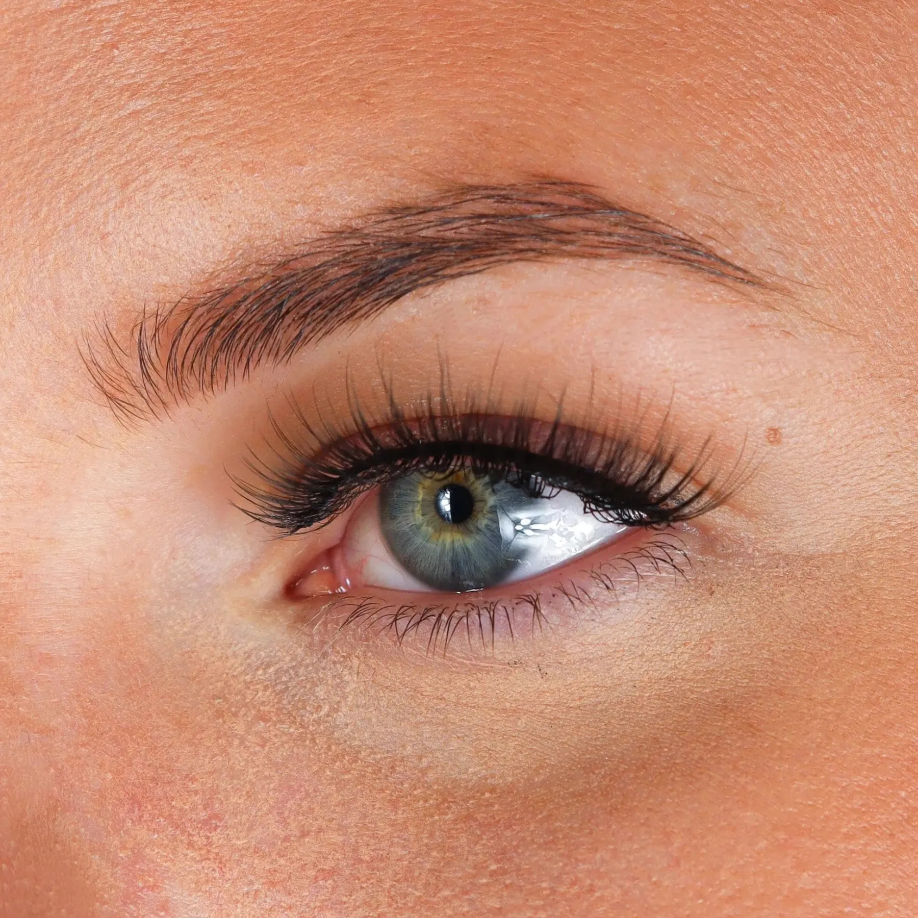 Clearance Lashes Amber Künstliche Wimpern