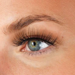 Sale Lashes Armanda Künstliche Wimpern