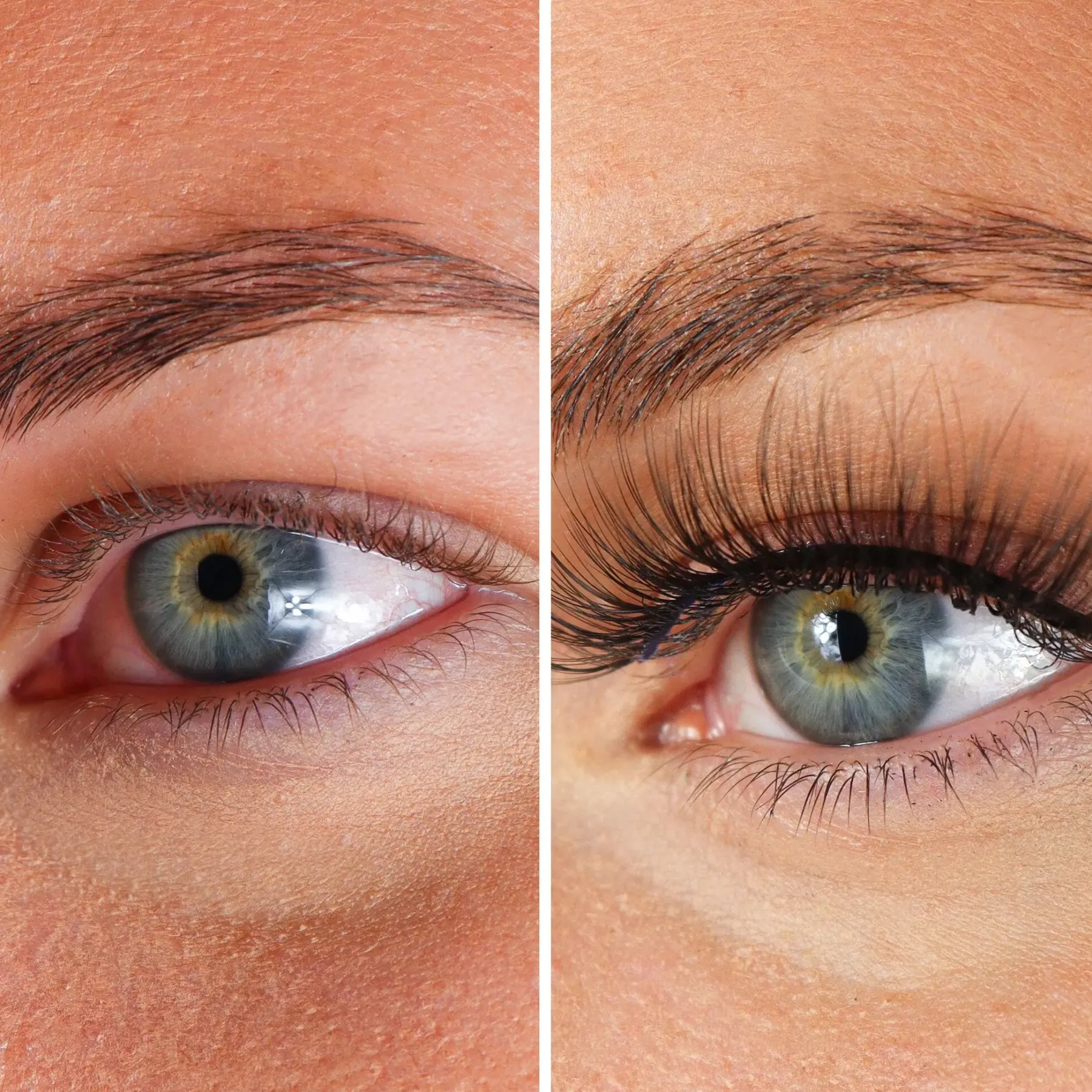 Sale Lashes Armanda Künstliche Wimpern
