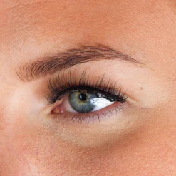 New Lashes Maxime Künstliche Wimpern