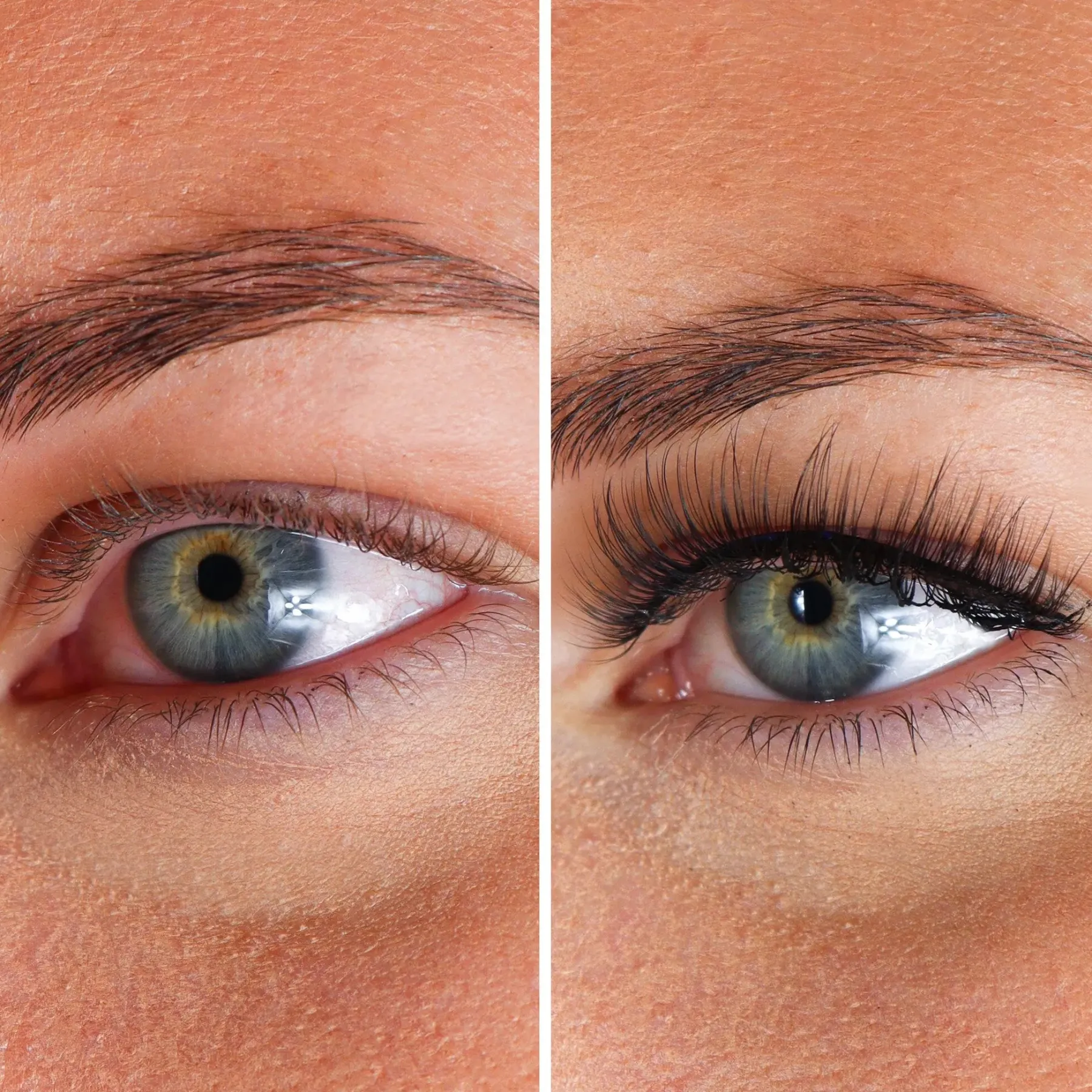 New Lashes Maxime Künstliche Wimpern