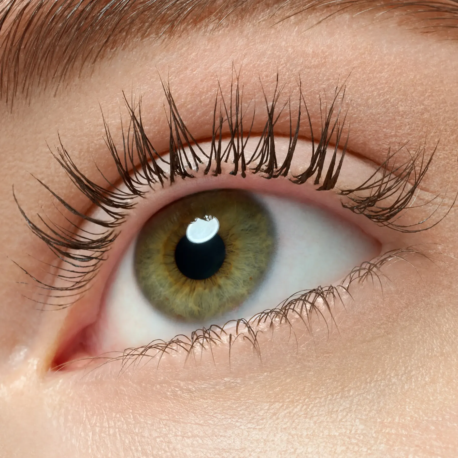 Best Lash Princess False Lash Effect Mascara Black Brown Mascara