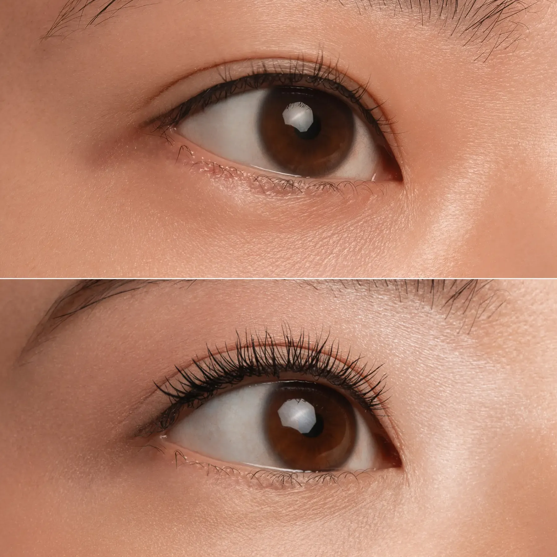 New Lash Princess Slim Brush Long & Curl Mascara Waterproof Mascara|Vegan Mascara