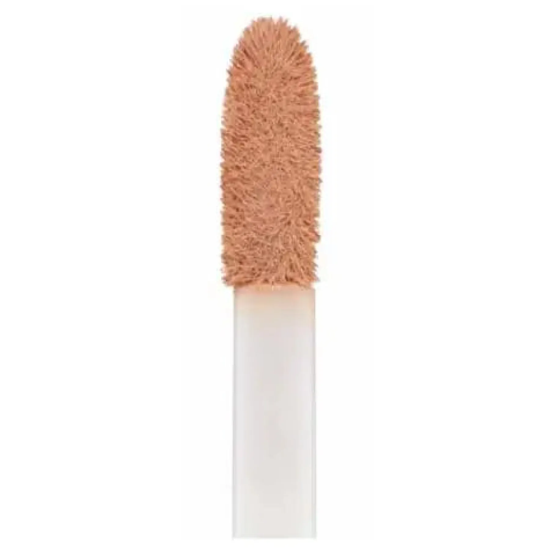 Best Lasting Perfection Concealer Vegan Concealer|Concealer