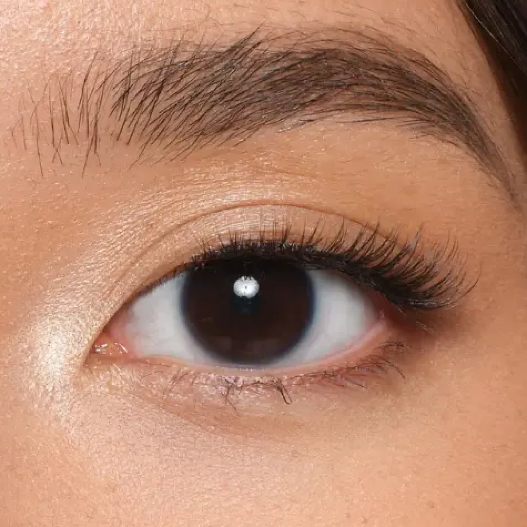 Outlet Latte Strip Lashes Künstliche Wimpern|Clean Beauty
